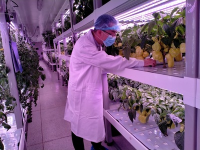 技術(shù)交流促發(fā)展，魚菜高與百源康共探農(nóng)業(yè)科技新路徑——福建中科三安植物工廠學(xué)習(xí)行記