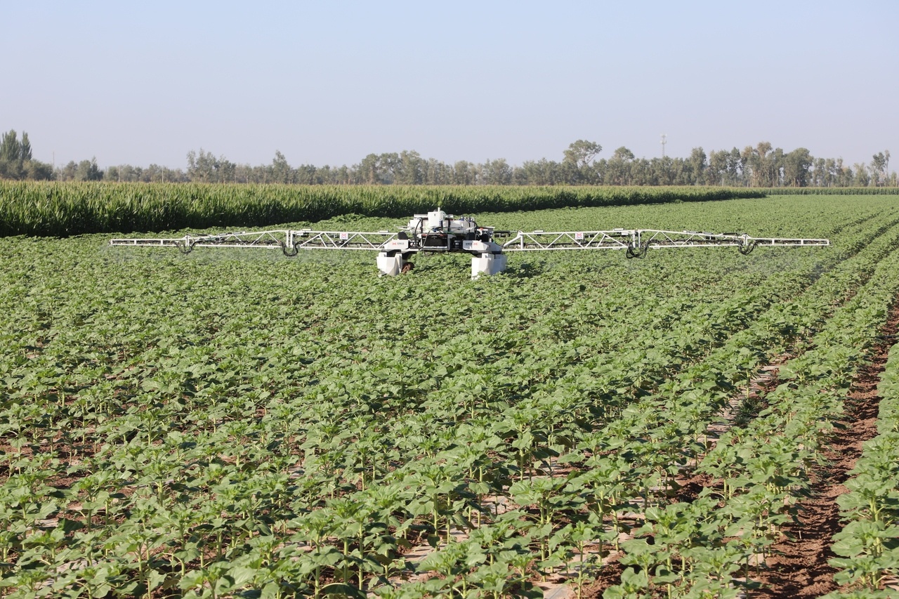 科技賦能田間 農(nóng)業(yè)機(jī)器人服務(wù)引領(lǐng)現(xiàn)代農(nóng)業(yè)新變革