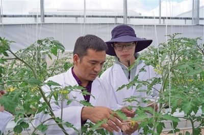 拼多多“百億農(nóng)研”計(jì)劃 踐行農(nóng)業(yè)科技普惠，引領(lǐng)產(chǎn)業(yè)新變革