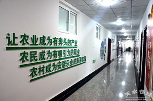 中國(guó)電子科技集團(tuán)消費(fèi)扶貧新舉措 采購(gòu)清水農(nóng)產(chǎn)品助力鄉(xiāng)村振興，科技研發(fā)賦能農(nóng)業(yè)現(xiàn)代化